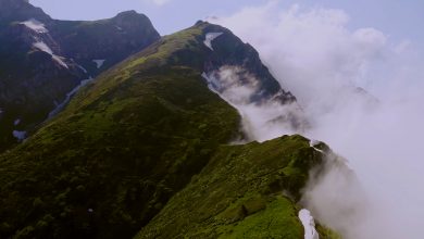 Speak Good Or Remain Silent